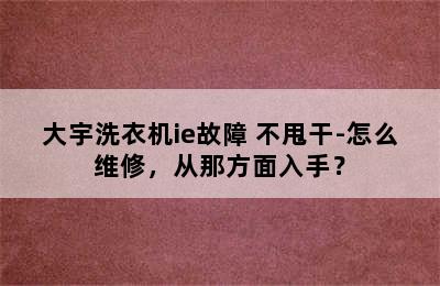 大宇洗衣机ie故障 不甩干-怎么维修，从那方面入手？